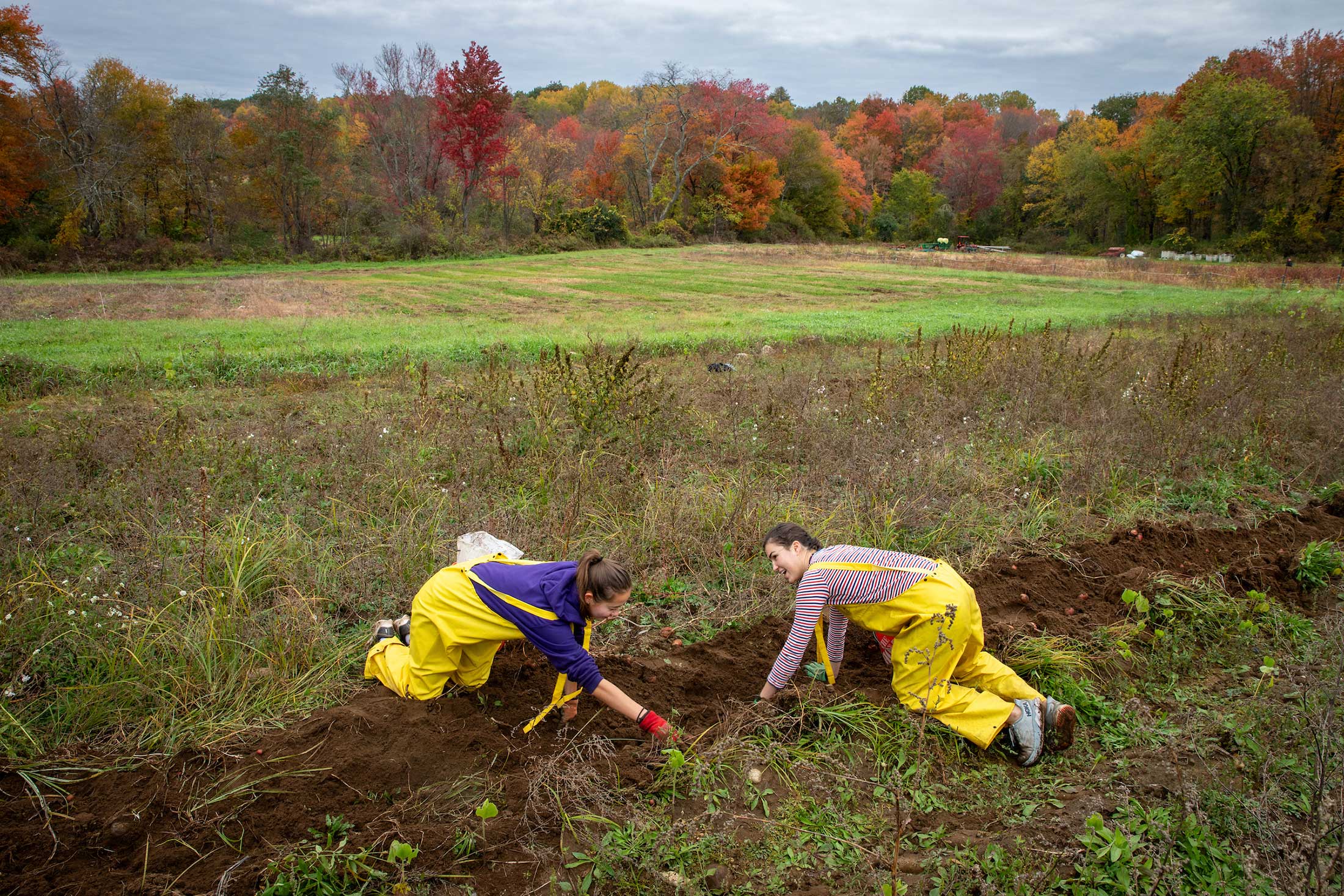 Two women planting potatoes at the Book and Plow Farm.