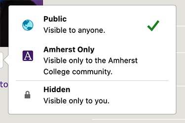 A box with Public, Amherst Only and Hidden options