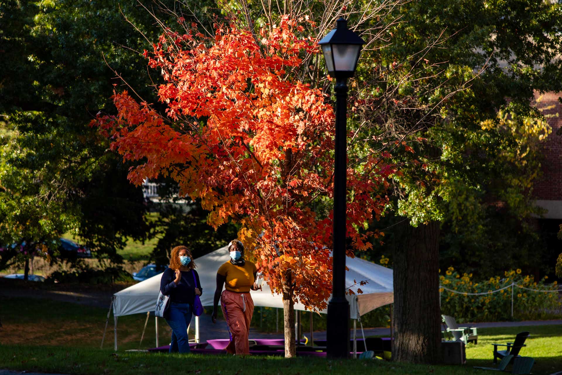 Two students walking on campus on a beautiful fall day