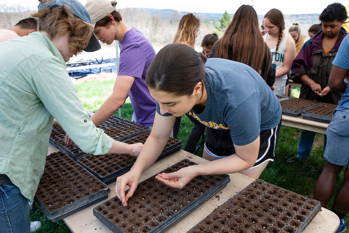 Student planting corn in vegetable flats