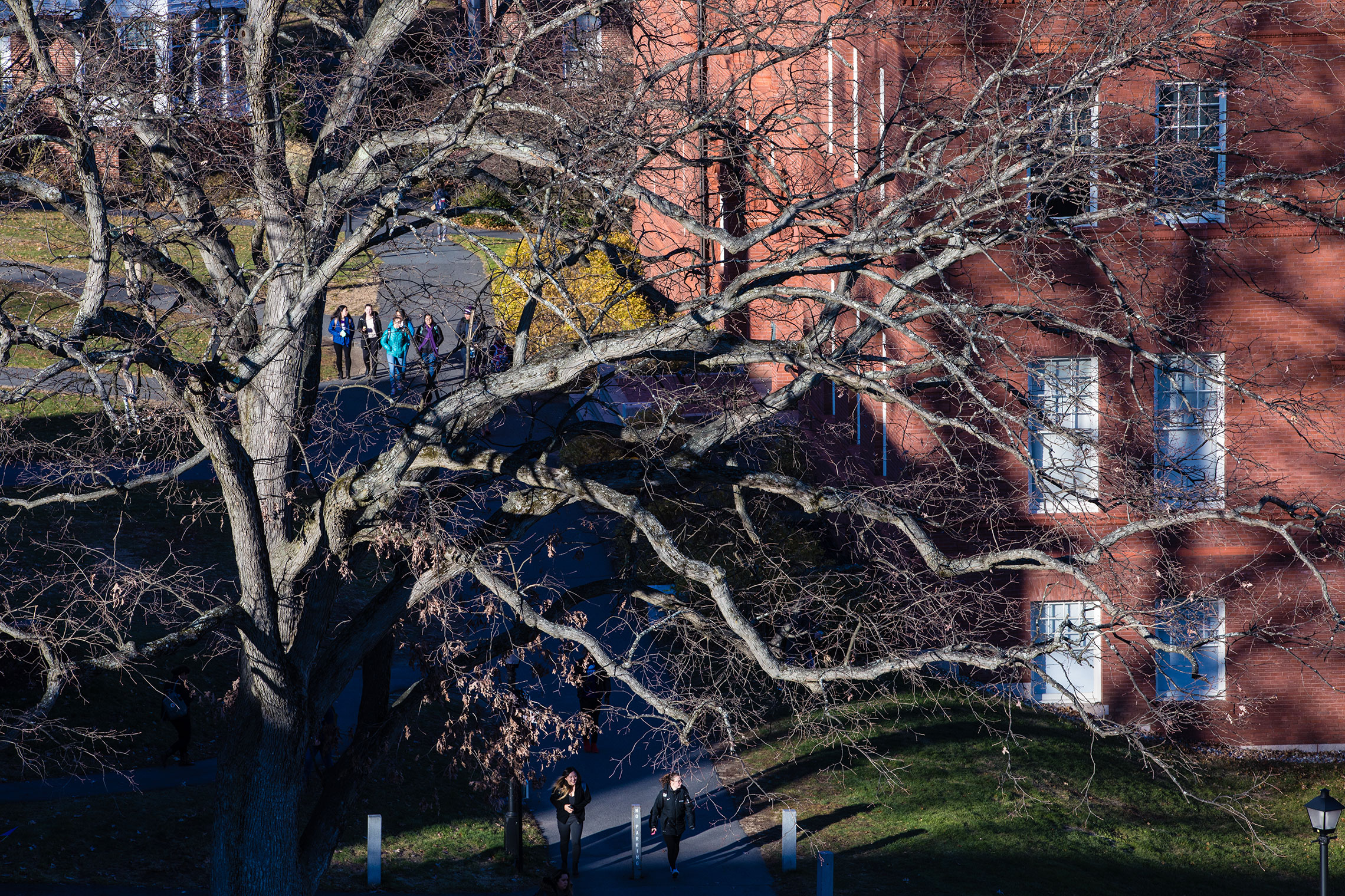 A fall day on the campus of Amherst College.