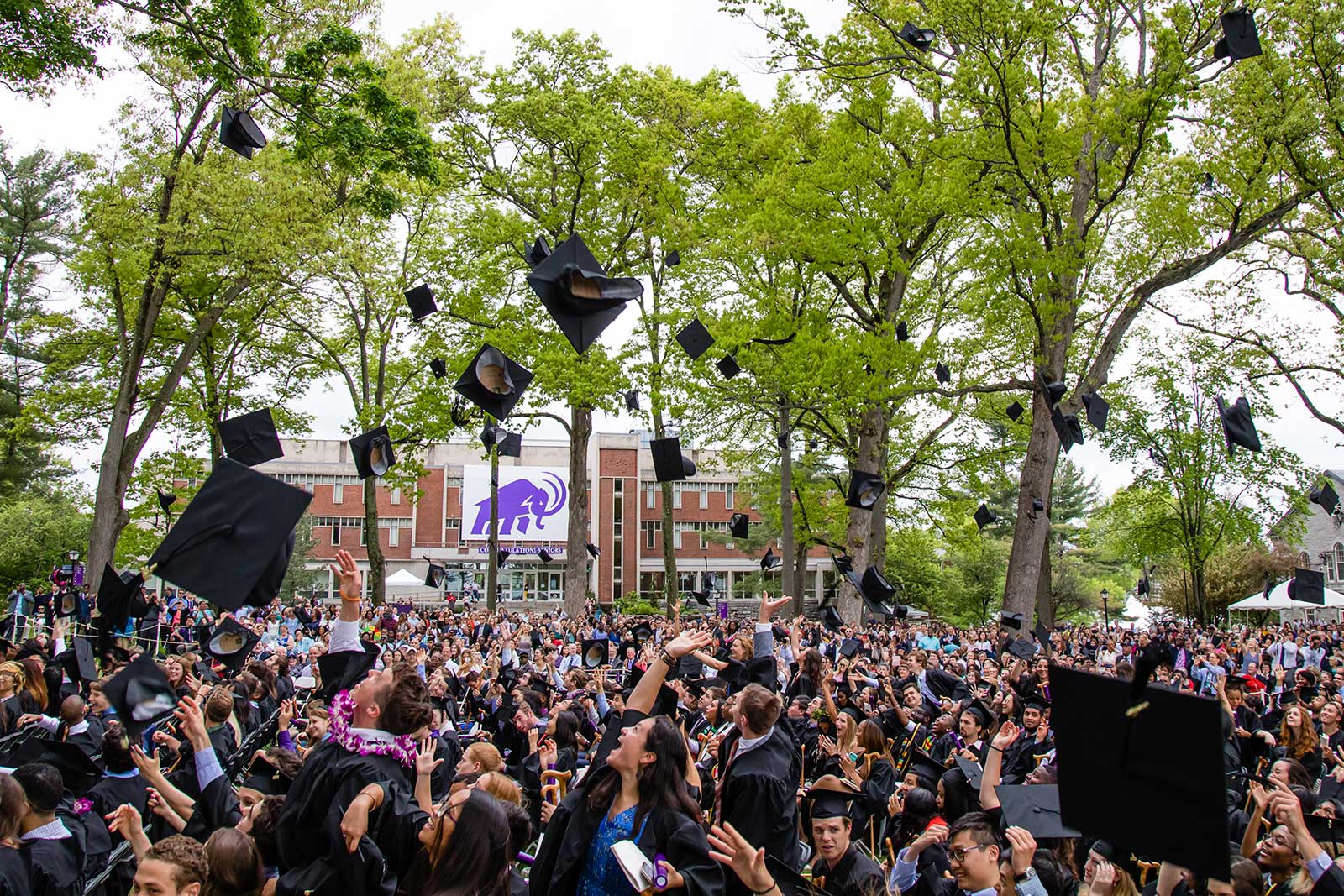 Graduates tossing their caps in the air in celebration