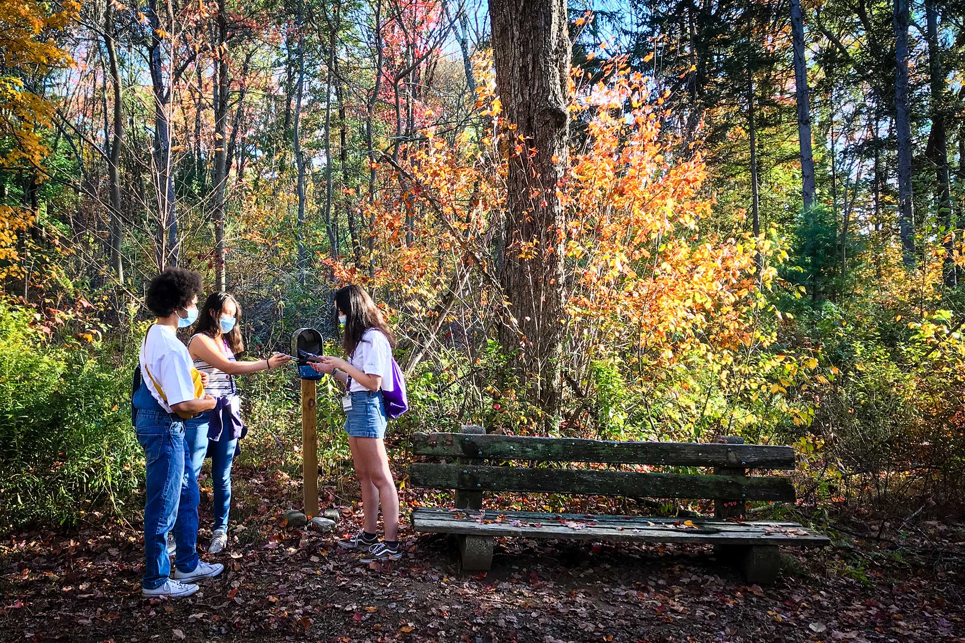 Three students checking the poem filled mailbox on the trail