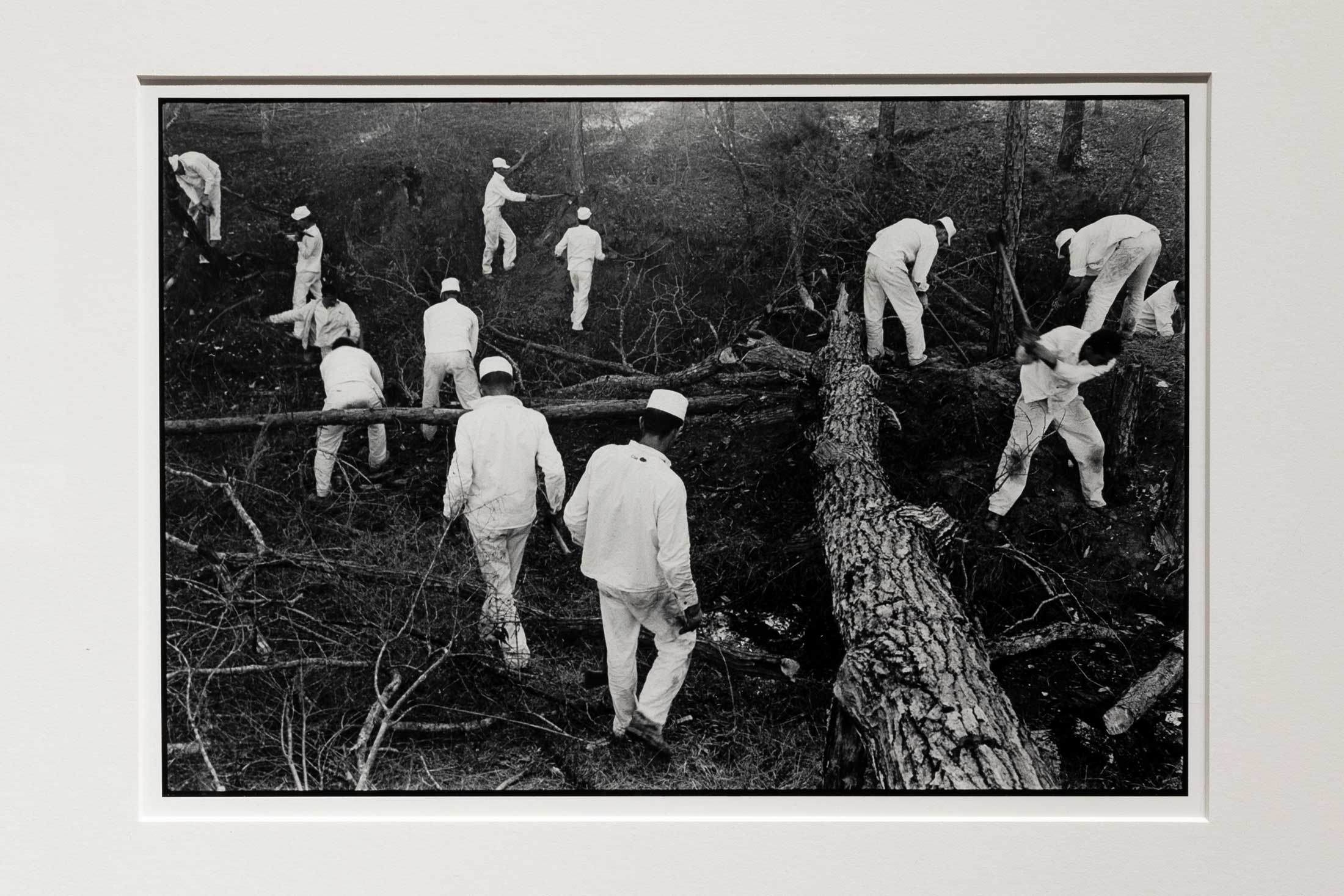 Clearing Land, Conversation with the Dead by Danny Lyon