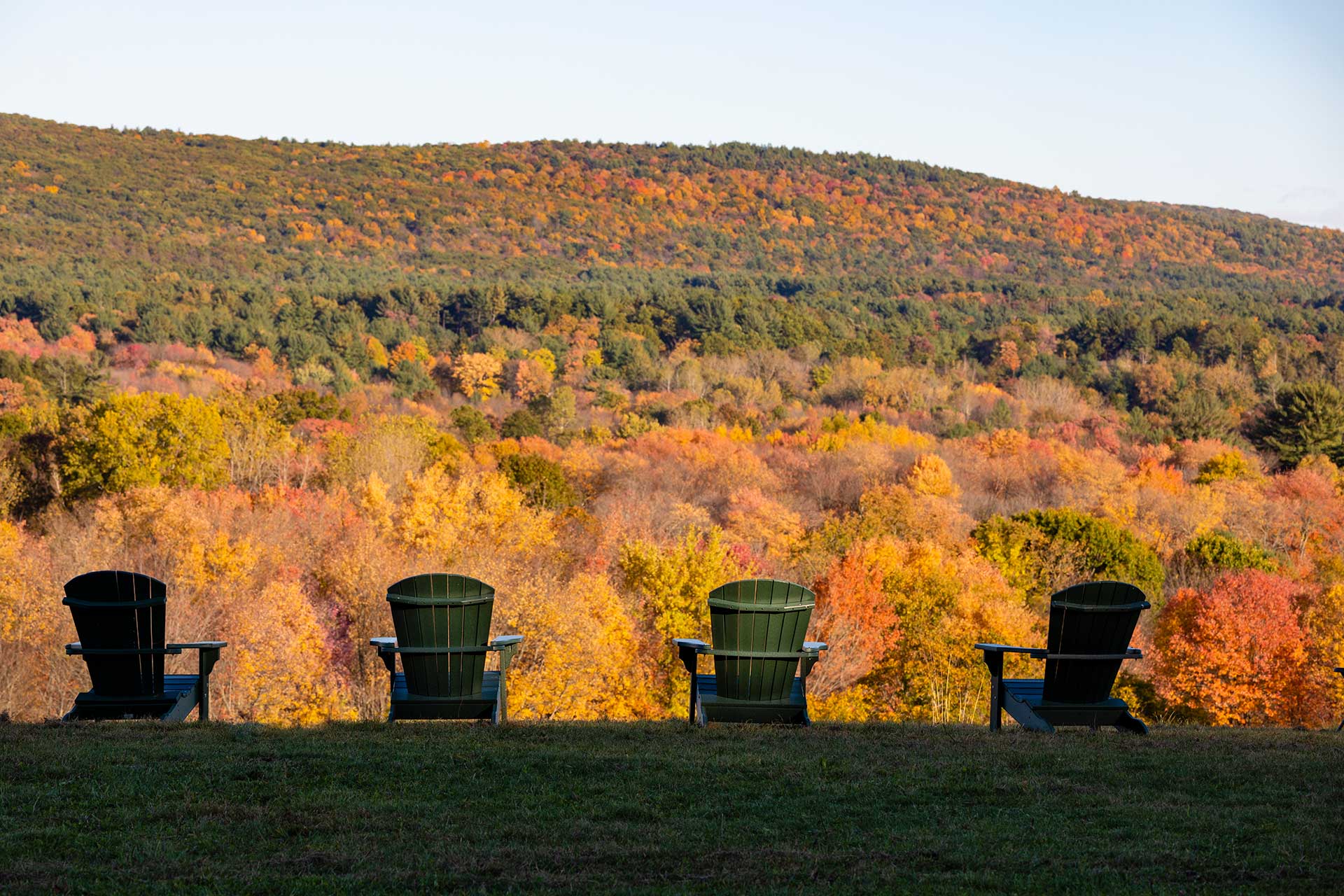 The fall colors are showcased on this view of the mt holyoke range