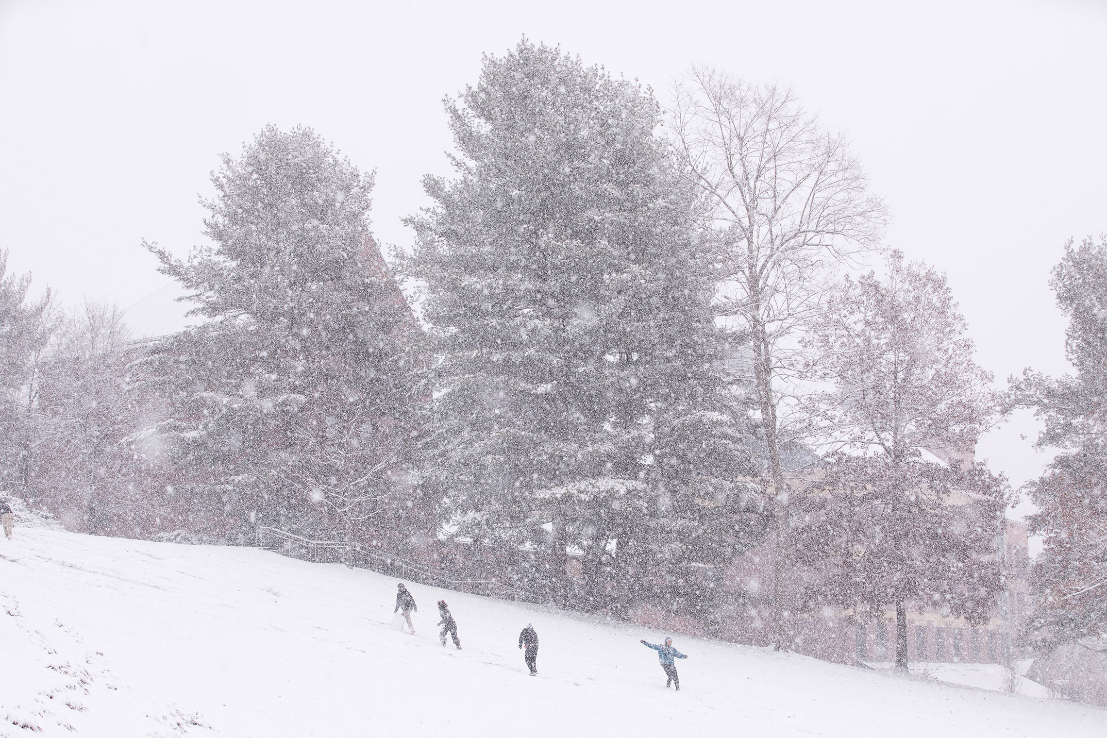 Students sledding on the Amherst College campus.