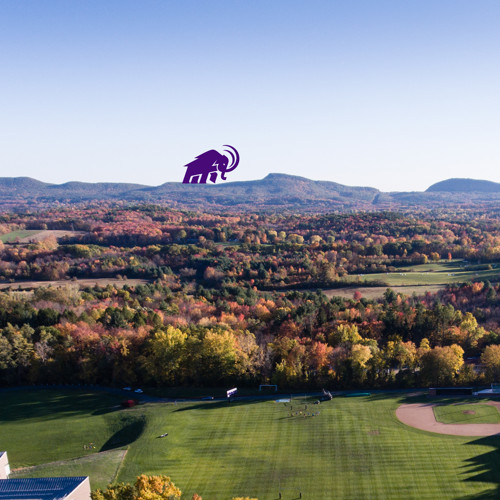 Mammoth walking across the range in an aerial photo of campus