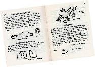 Page spread from cookbook, illustrating recipe for "willow meats"