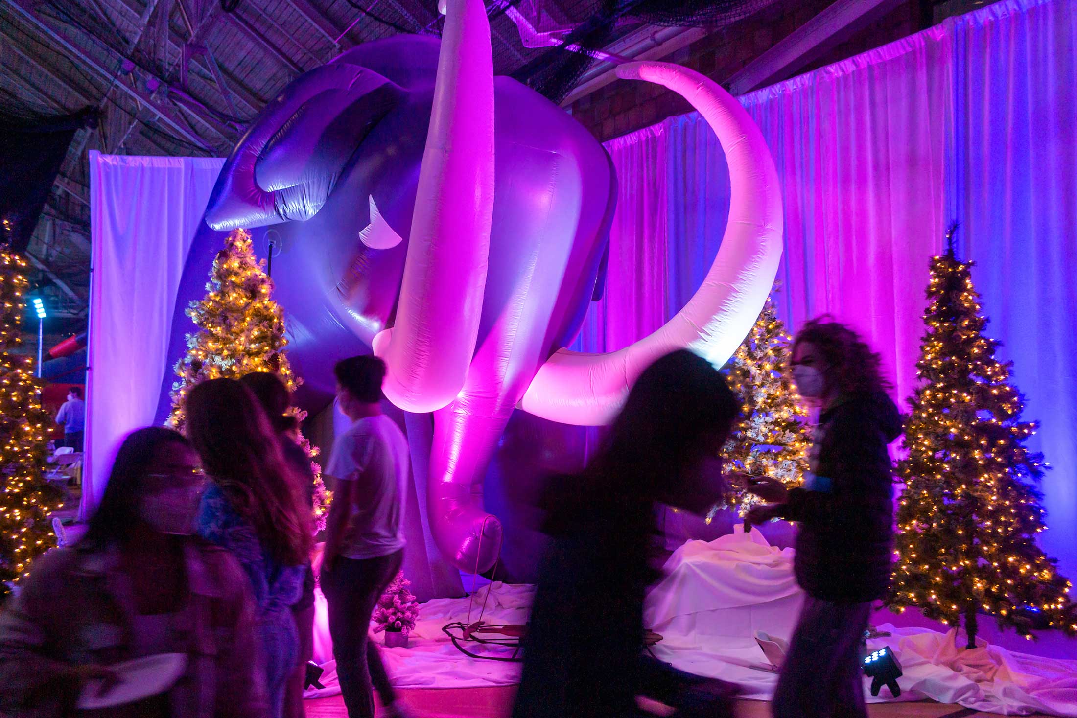 Students walking past a giant purple inflatable mammoth at the entry way to Winter Fest.
