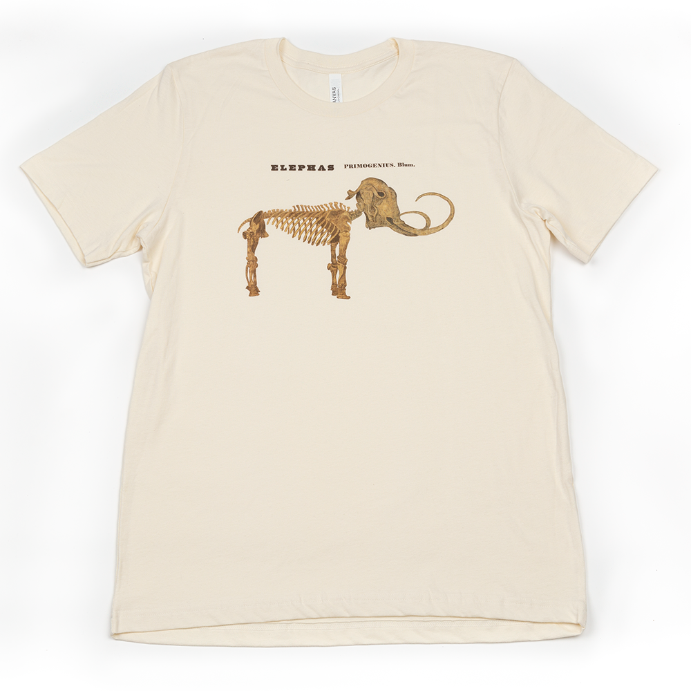 A beige t-shirt with a mammoth skeleton on it