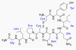 Oxytocin Structure