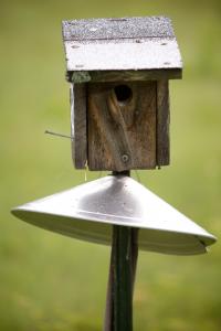 A photo of a bird box in a field