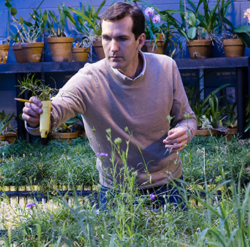 Biology Professor Michael Hood in the greenhouse
