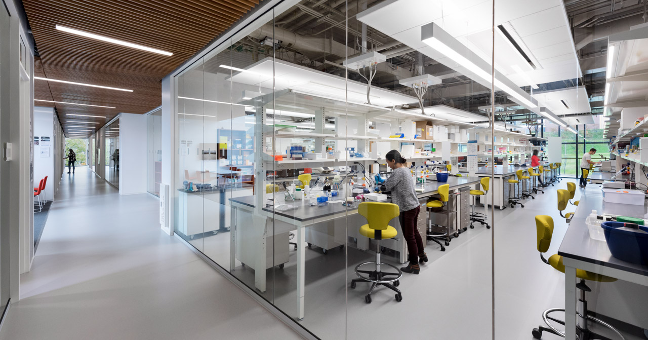 lab seen through floor-to-ceiling glass windows