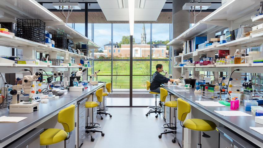 student sits in a brightly lit lab