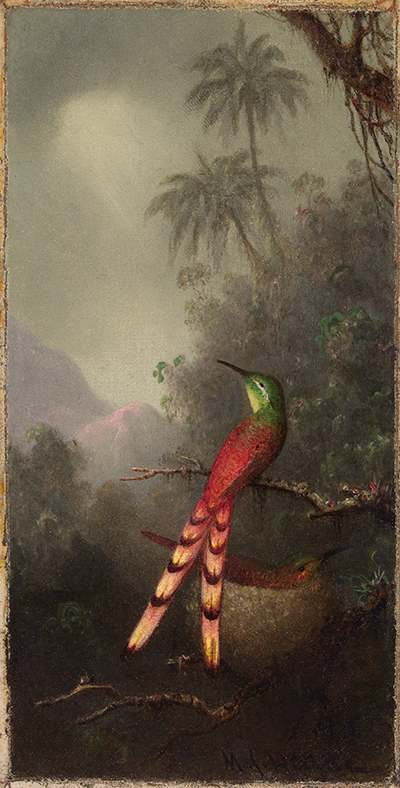 A painting of a colorful bird in a jungle setting