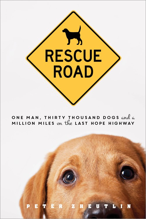 Rescue_Road_Cover.jpg