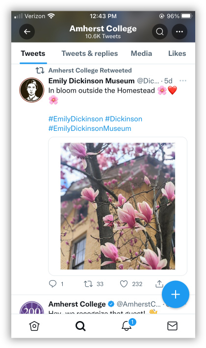 screenshot of an Amherst retweet of an Emily Dickinson Museum tweet with a photo of a blossoming tree and hashtags in CamelCase