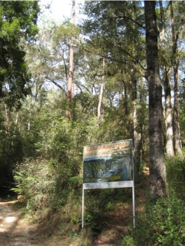 Sign stating that this ejido’s forest is under management to protect the watershed