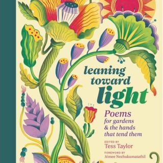 Book cover the "Leaning Toward Light" poetry anthology, colorfully illustrated with a painting of plants and sun