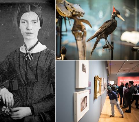 Emily Dickinson daguerotype, a bird in the Beneski Museum, and visitors viewing art in the Mead Art Museum