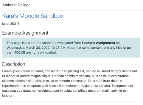 Example of assignment displayed in browser from course outline