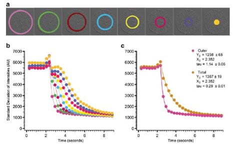 occia_Quantification_Image_3.jpg