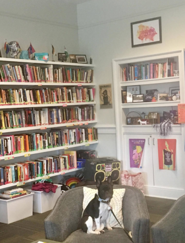 Image of Queer Resource Center library, behind a dog sitting on a chair.