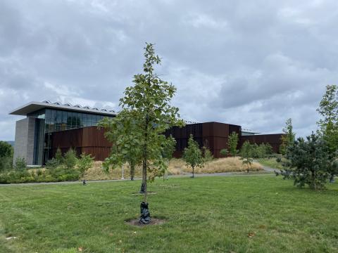 Science center with a tree in front