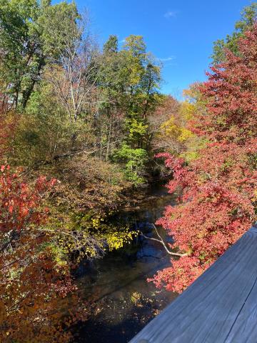 Fall leaves by a river on a rail trail