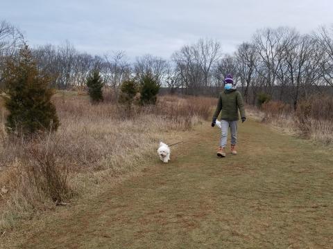I am taking a walk through a winter field with trees and my bichon frise dog