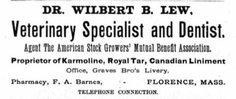 newspaper ad for Doctor Wilbert Lew, veterinary specialist and dentist