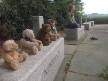 cathy meditating with the bears.jpeg